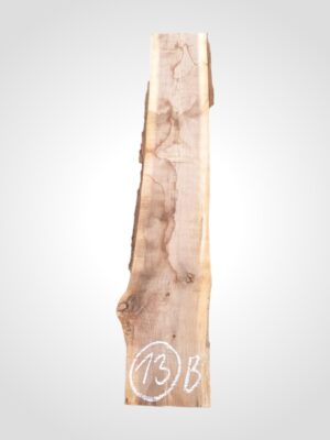 Ořech černý 50/52 mm - 13