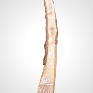 Ořech černý 50/52 mm - 2