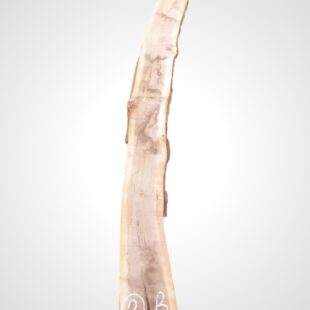 Ořech černý 50/52 mm - 2