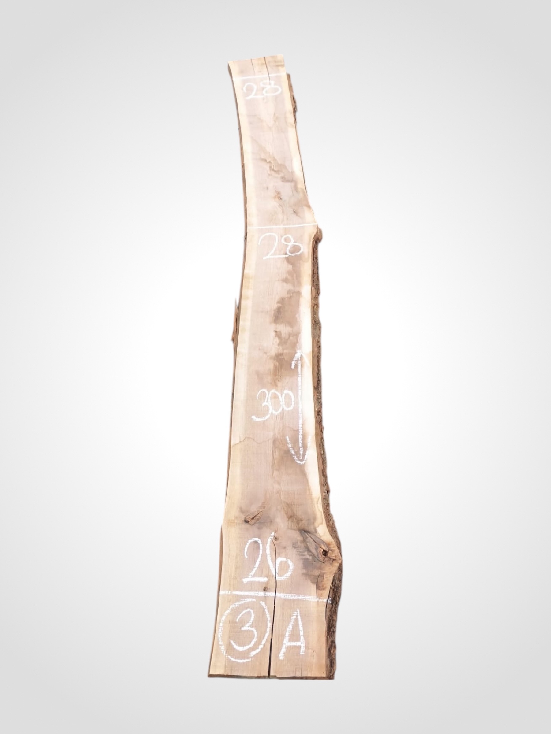 Ořech černý 50/52 mm - 3