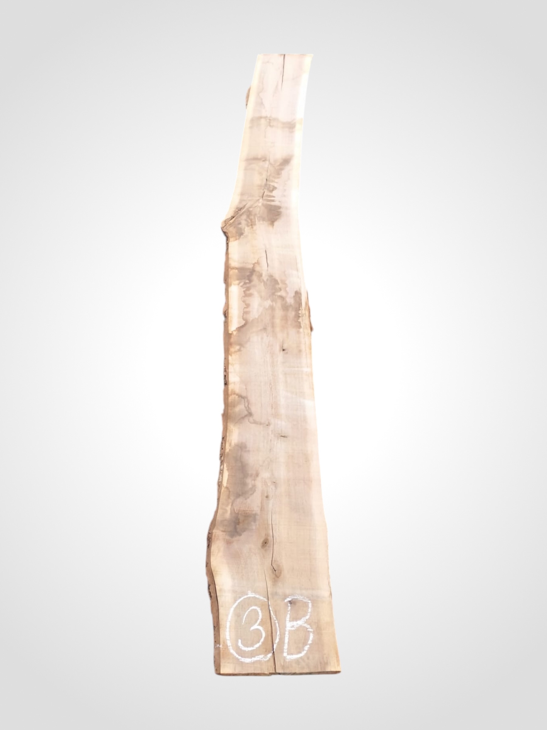 Ořech černý 50/52 mm - 3