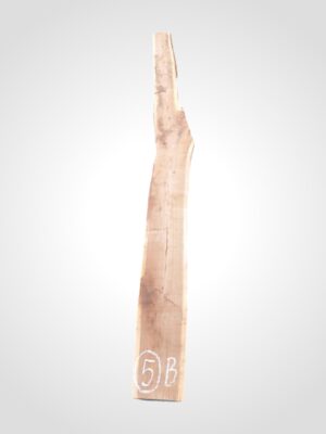 Ořech černý 50/52 mm - 5