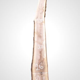 Ořech černý 50/52 mm - 8