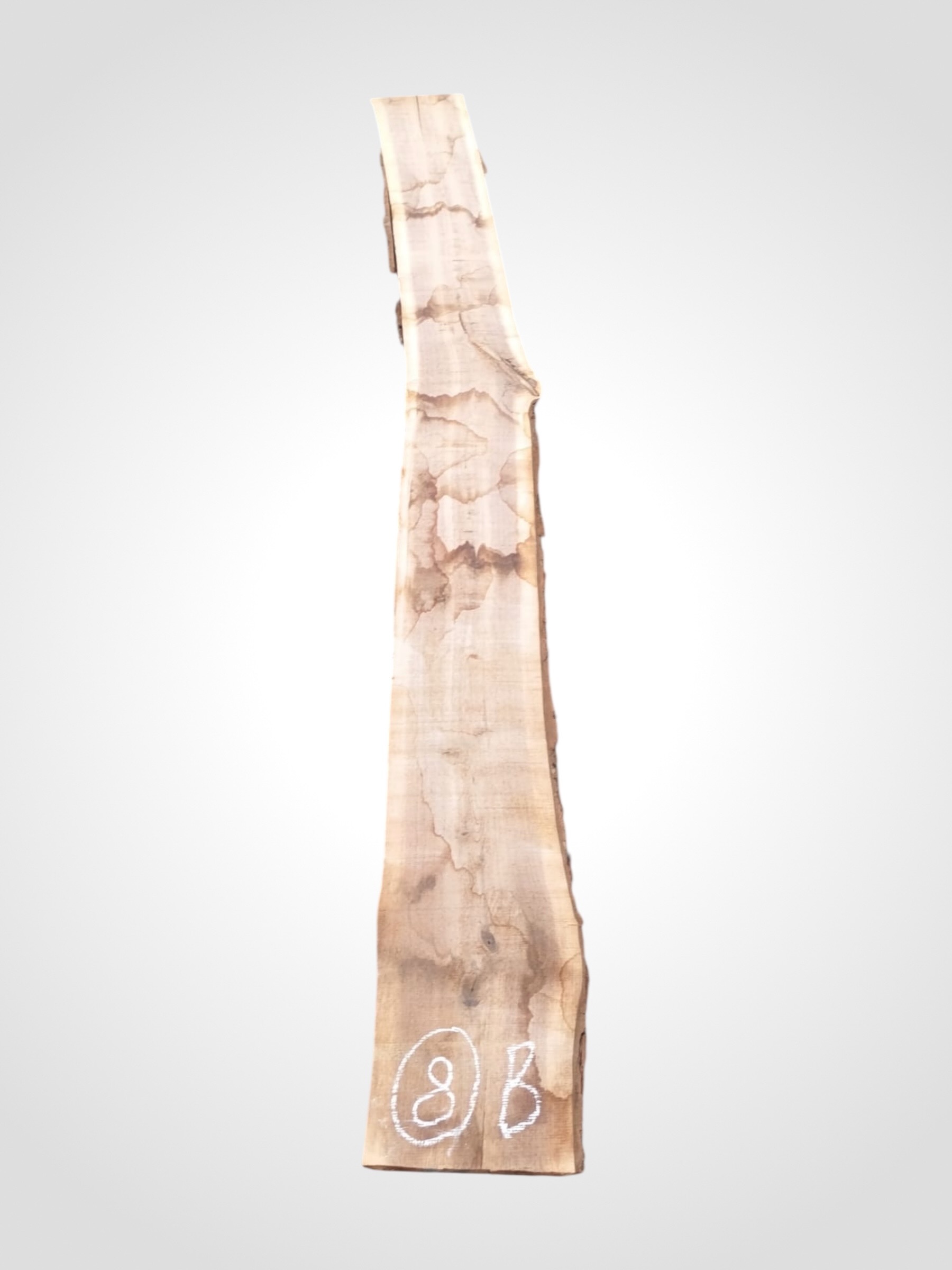 Ořech černý 50/52 mm - 8