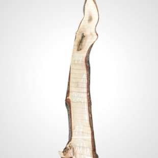 Ořech vlašský 30/32 mm - 11