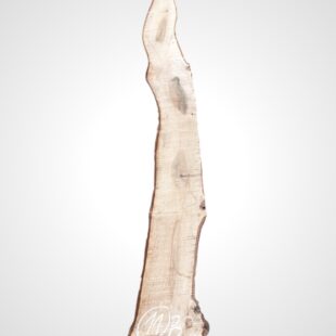 Ořech vlašský 30/32 mm - 11