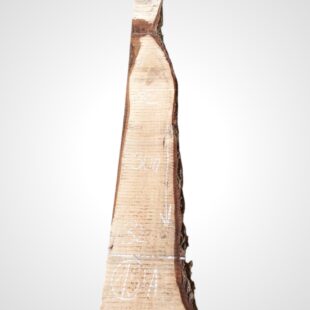 Ořech vlašský 30/32 mm - 15