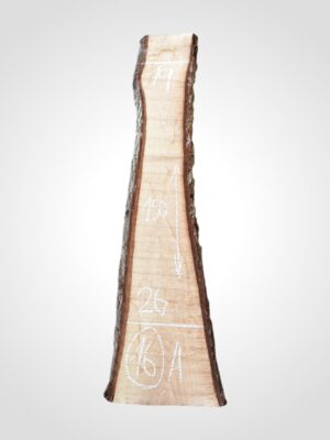 Ořech vlašský 30/32 mm - 16