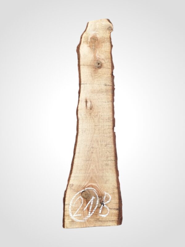 Ořech vlašský 30/32 mm - 21