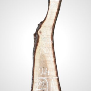 Ořech vlašský 30/32 mm - 22