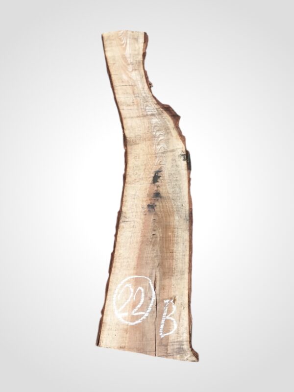 Ořech vlašský 30/32 mm - 22