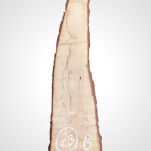 Ořech vlašský 30/32 mm - 23