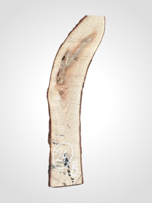 Ořech vlašský 30/32 mm - 24