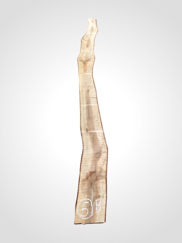 Ořech vlašský 30/32 mm - 5