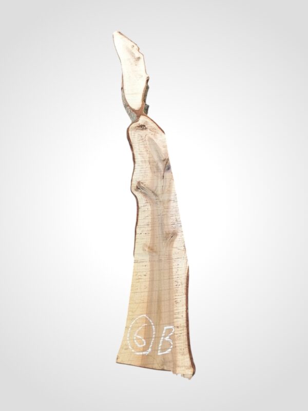 Ořech vlašský 30/32 mm - 6