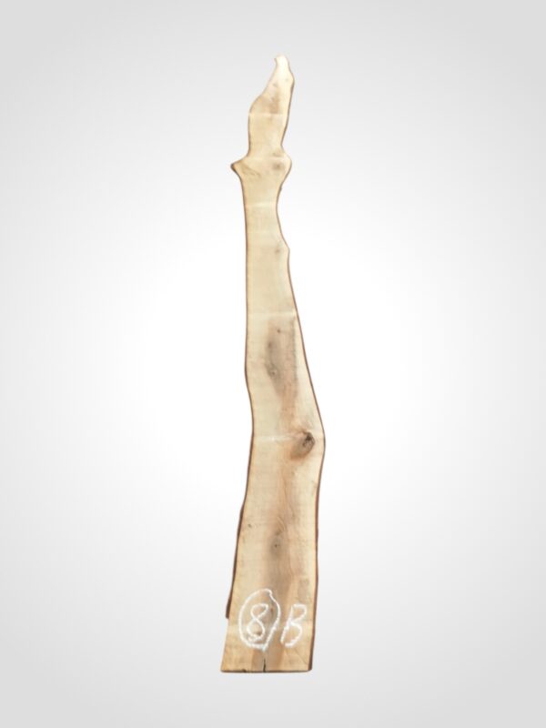 Ořech vlašský 30/32 mm - 8