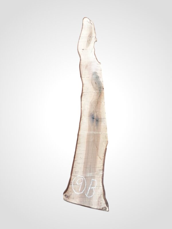 Ořech vlašský 30/32 mm - 9