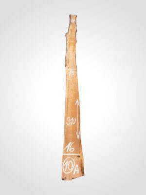 Třešeň evropská 20 mm - 10