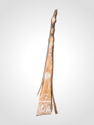 Třešeň evropská 20 mm - 15