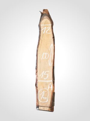 Třešeň evropská 20 mm - 16