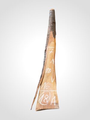 Třešeň evropská 20 mm - 18
