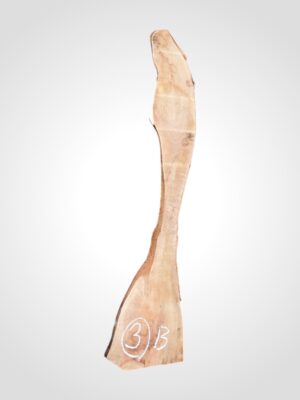 Třešeň evropská 20 mm - 3