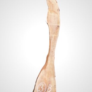 Třešeň evropská 20 mm - 3