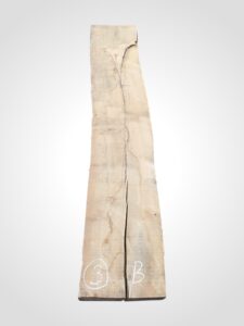 Javor rýglový 65 mm - 3