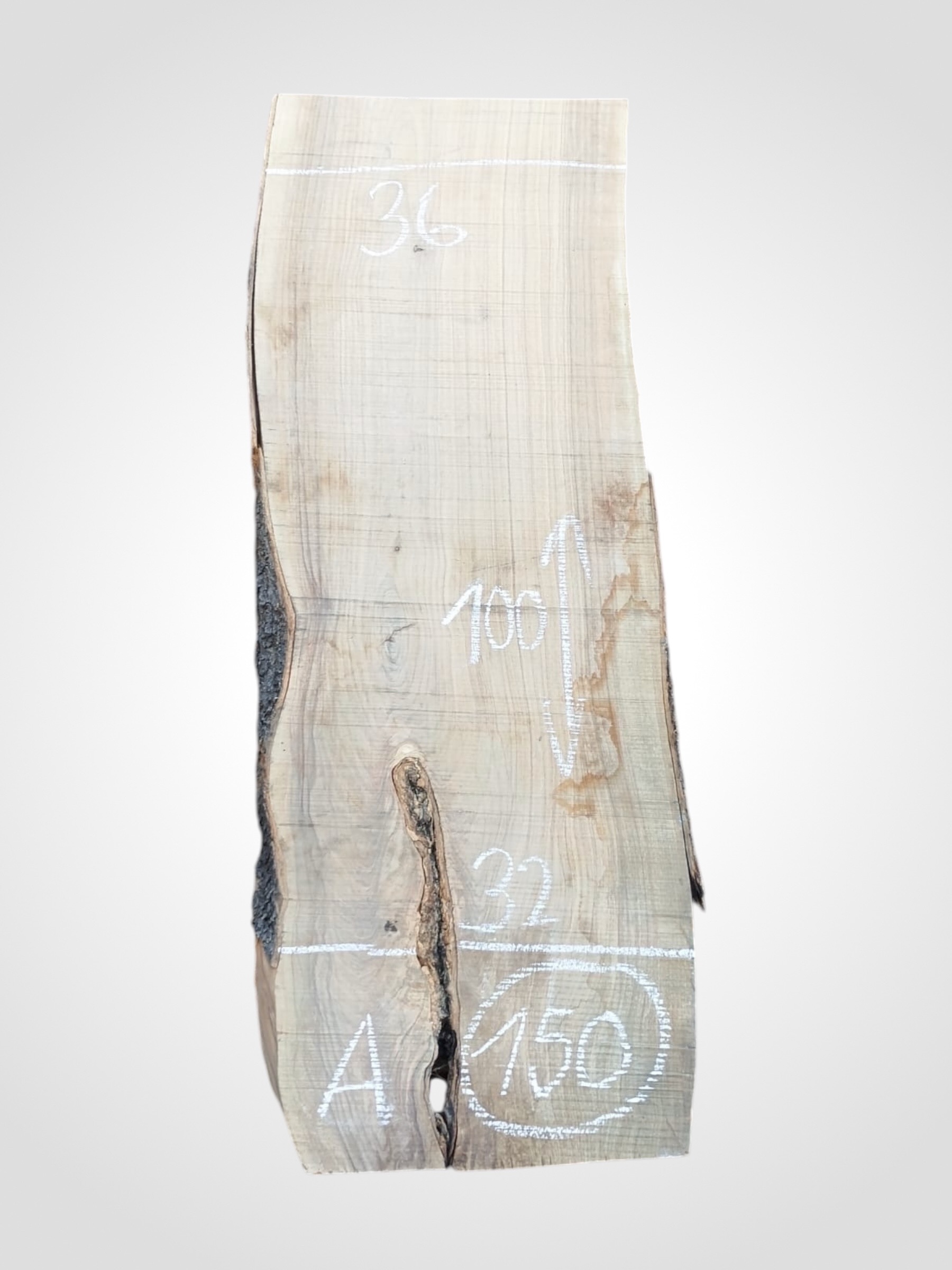 Oliva-32-150a Oliva 32 mm - 150