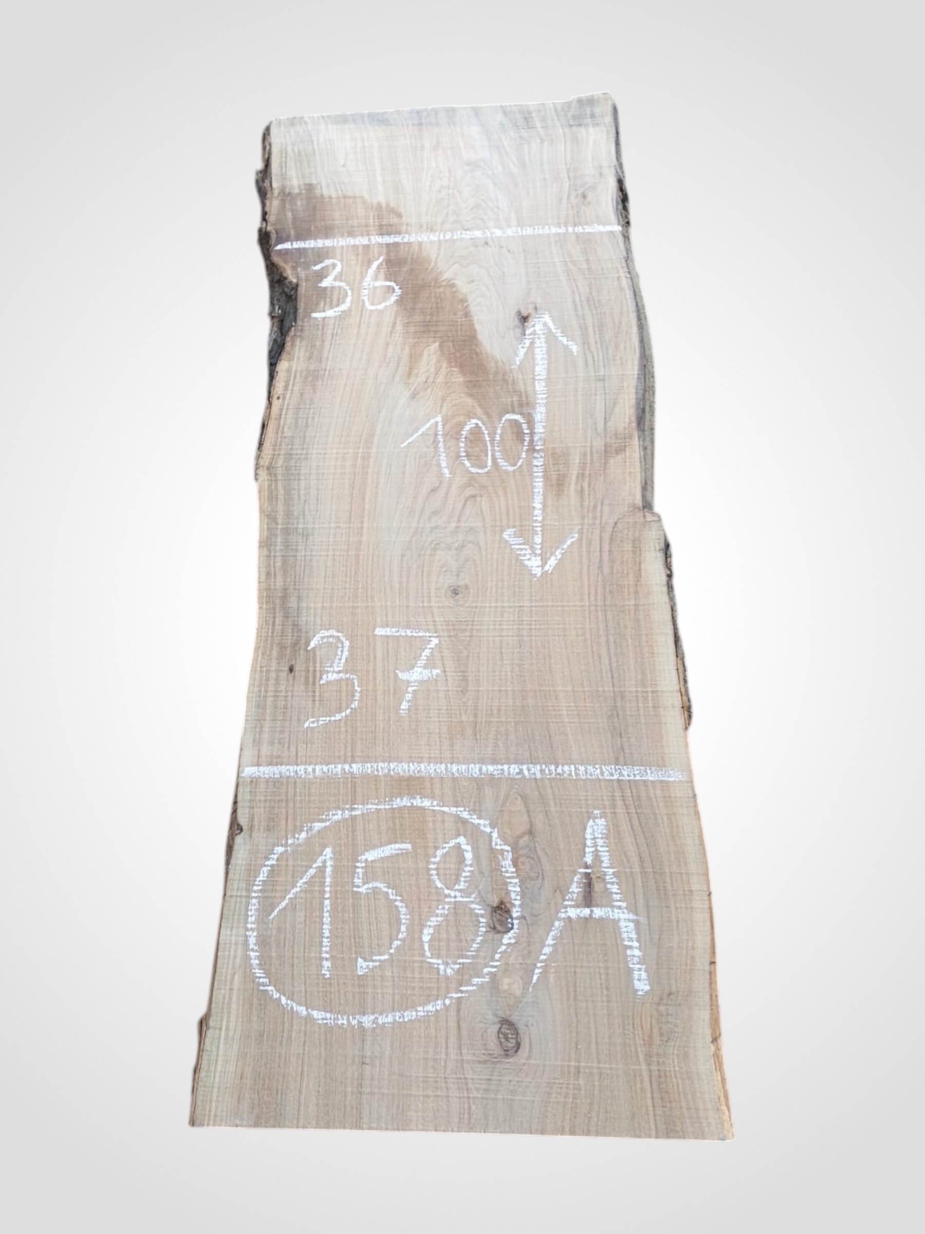 Oliva-32-158a Oliva 32 mm - 158