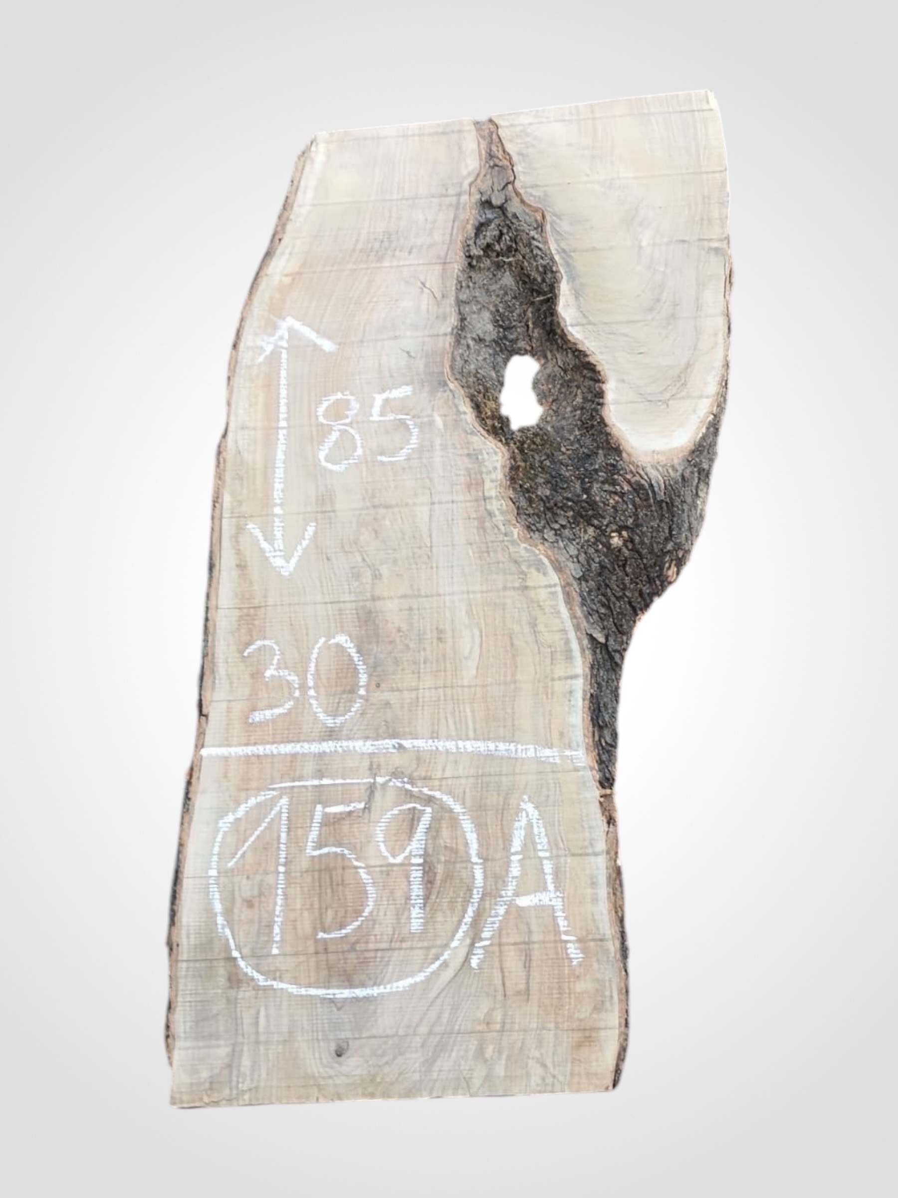 Oliva-32-159a Oliva 32 mm - 159