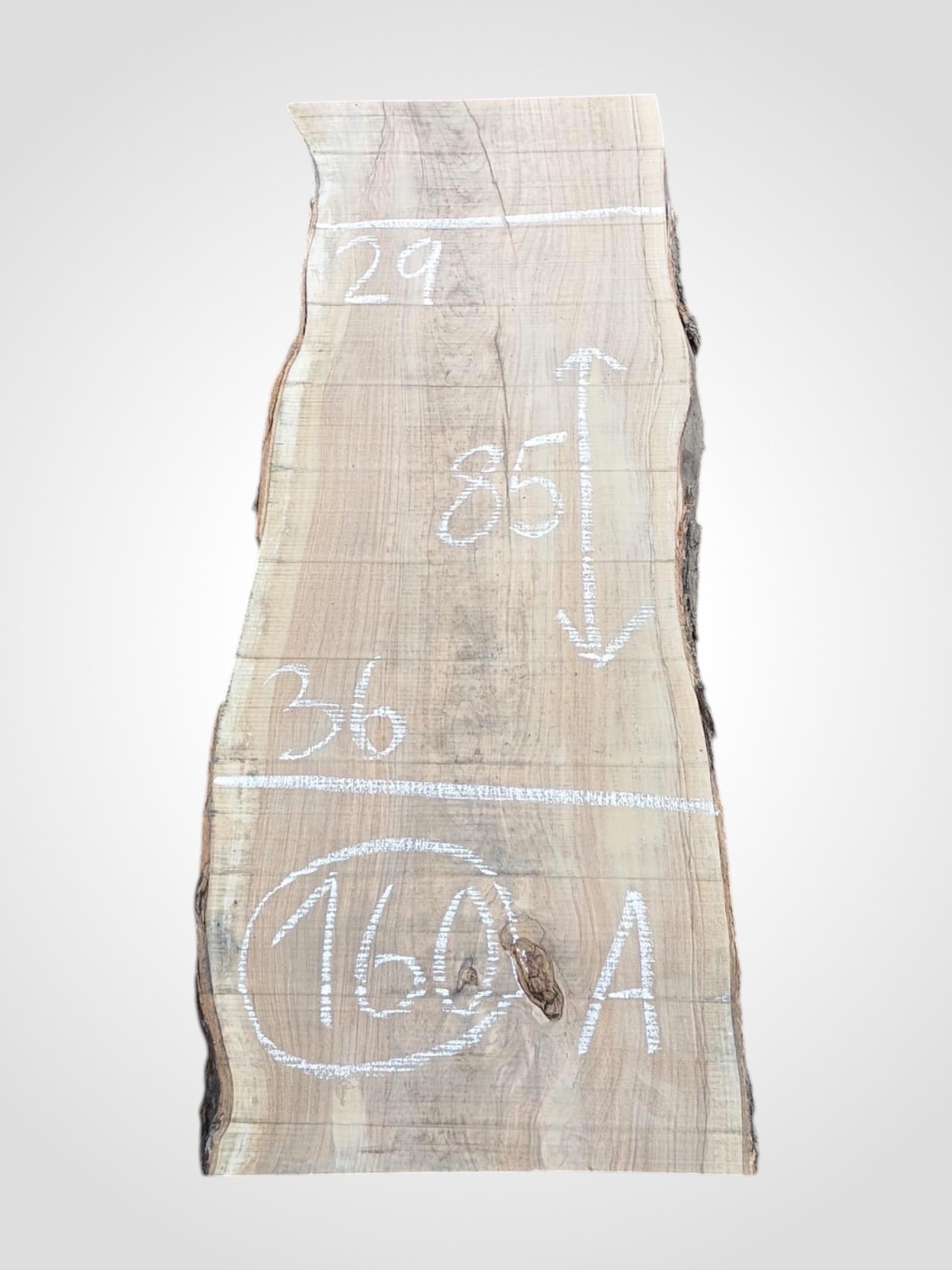 Oliva-32-160a Oliva 32 mm - 160