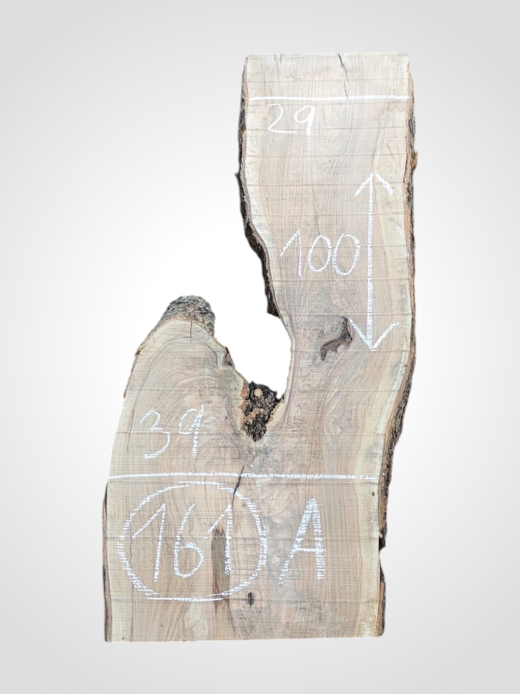 Oliva-32-161a Oliva 32 mm - 161