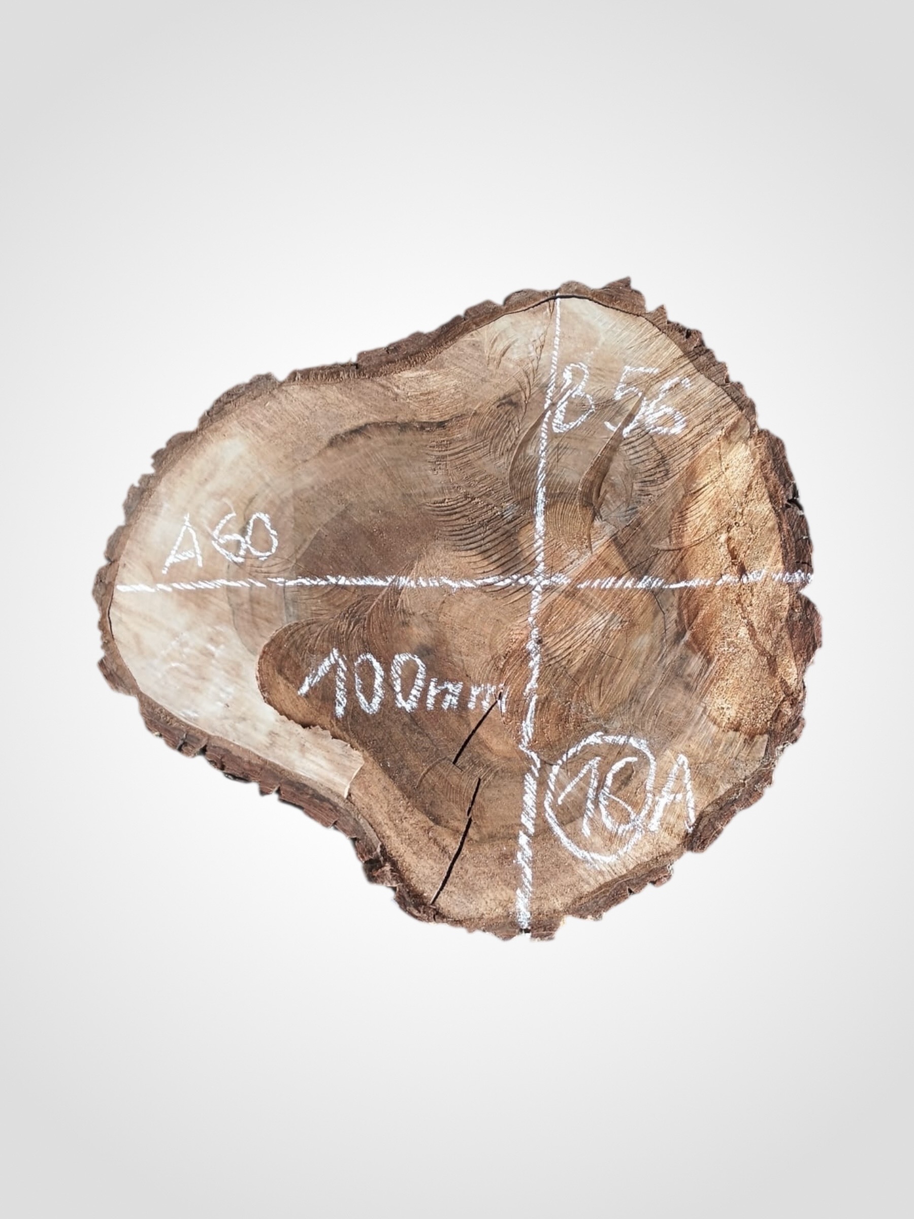 Ořech vlašský koláč - 16