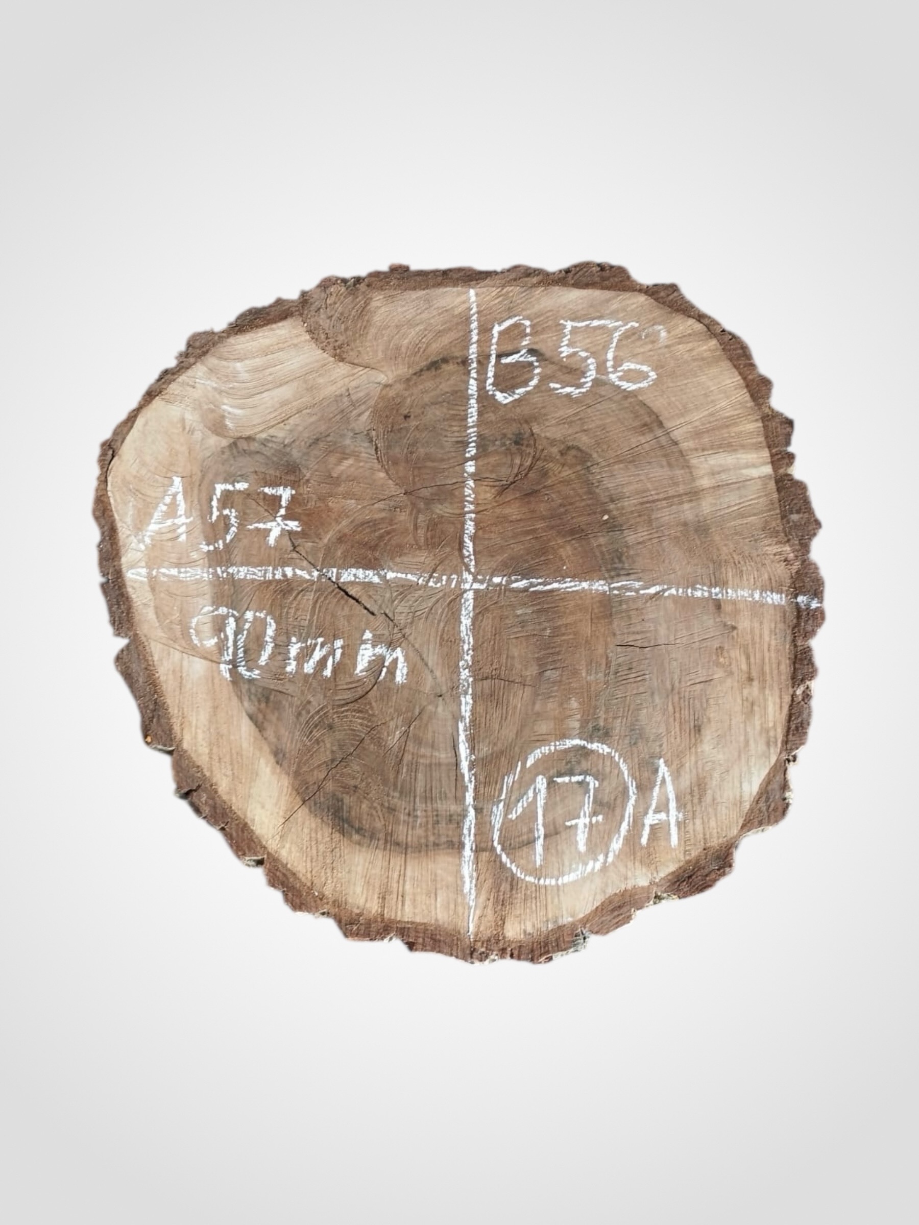 Ořech vlašský koláč - 17