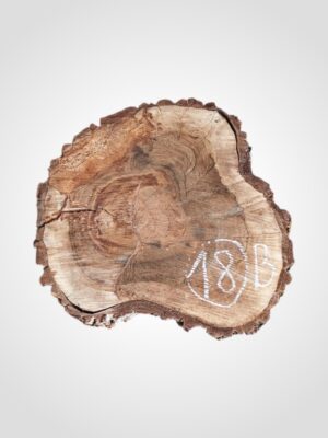 Ořech vlašský koláč - 18