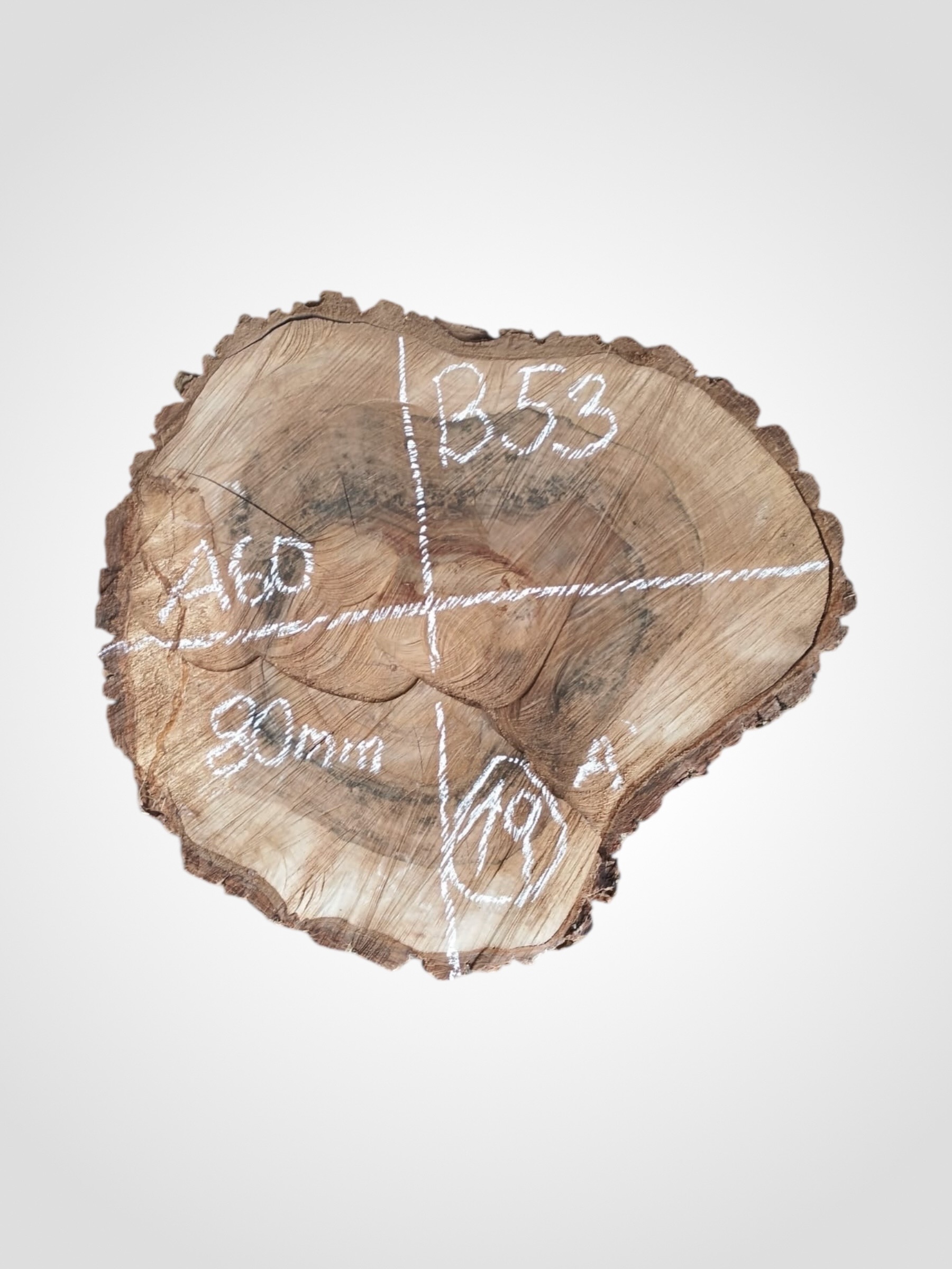 Orech-vlassky-kolac-19a Ořech vlašský koláč - 19