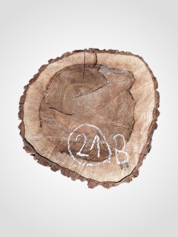 Ořech vlašský koláč - 21