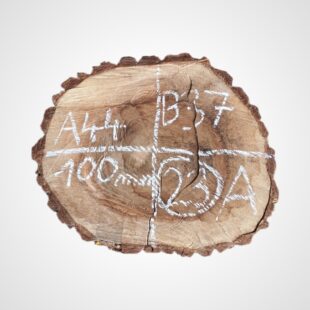 Ořech vlašský koláč - 23