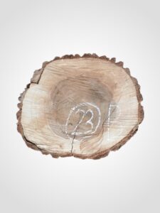 Ořech vlašský koláč - 23