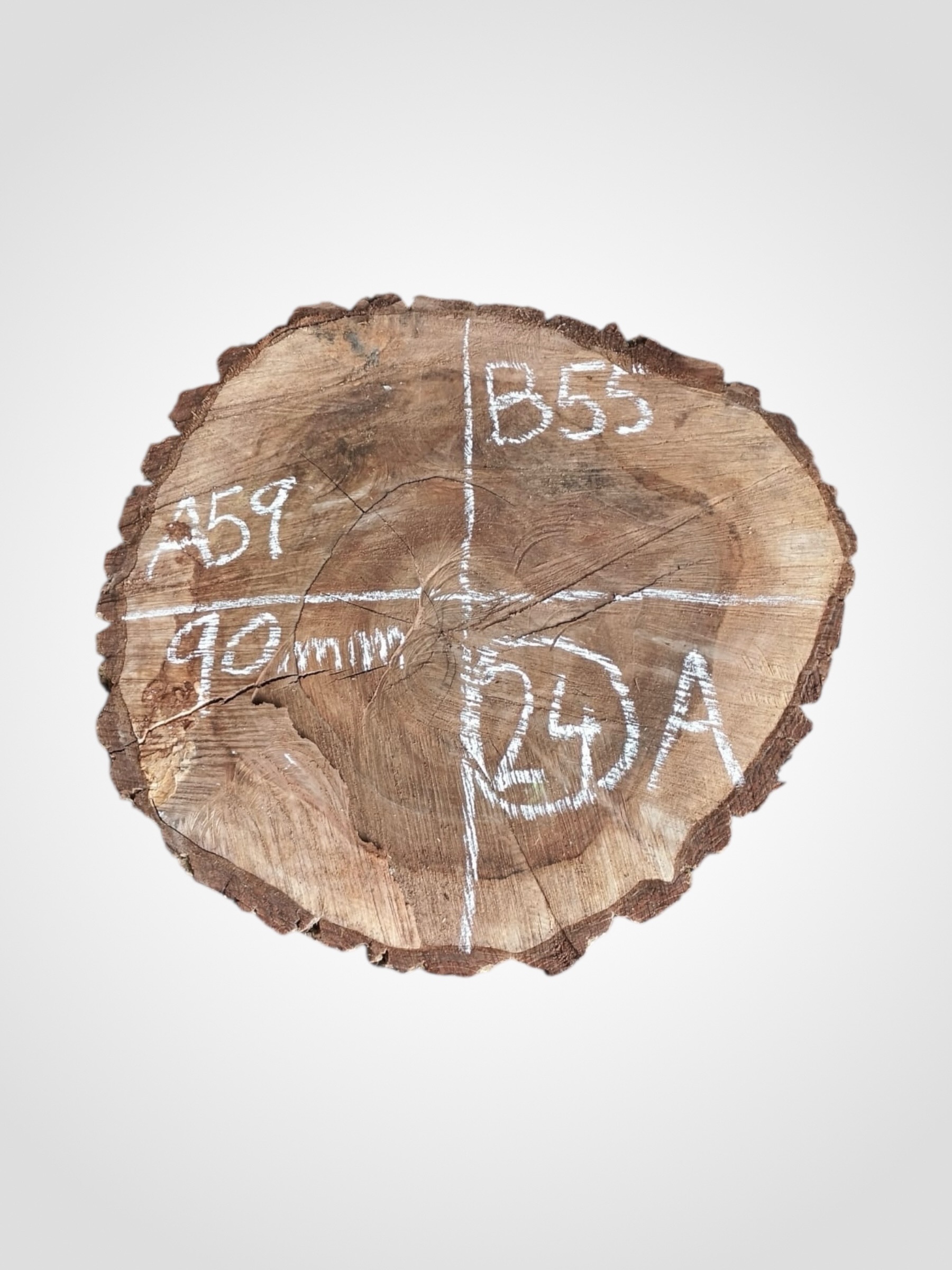 Orech-vlassky-kolac-24a Ořech vlašský koláč - 24
