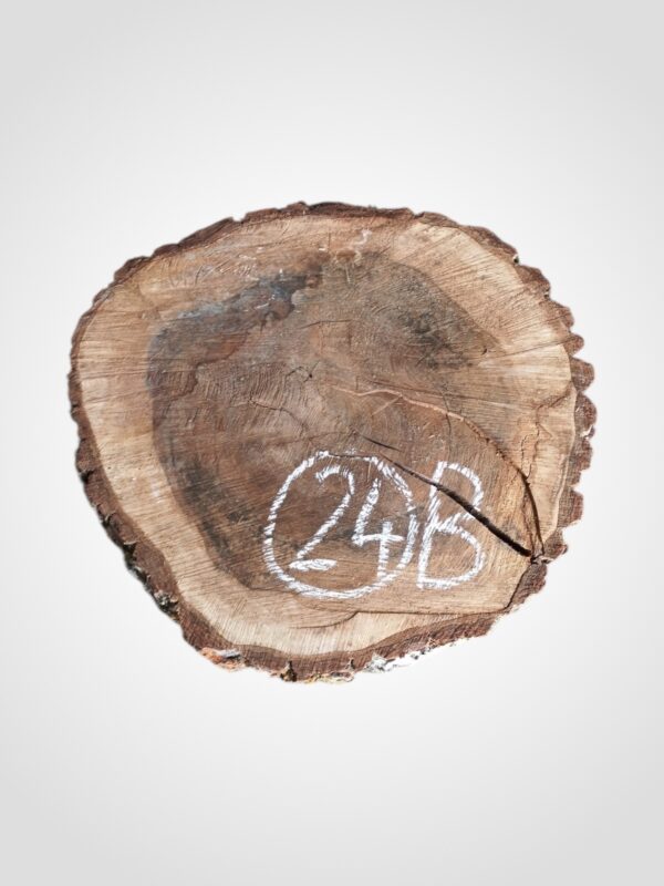 Ořech vlašský koláč - 24