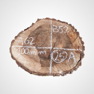 Ořech vlašský koláč - 25