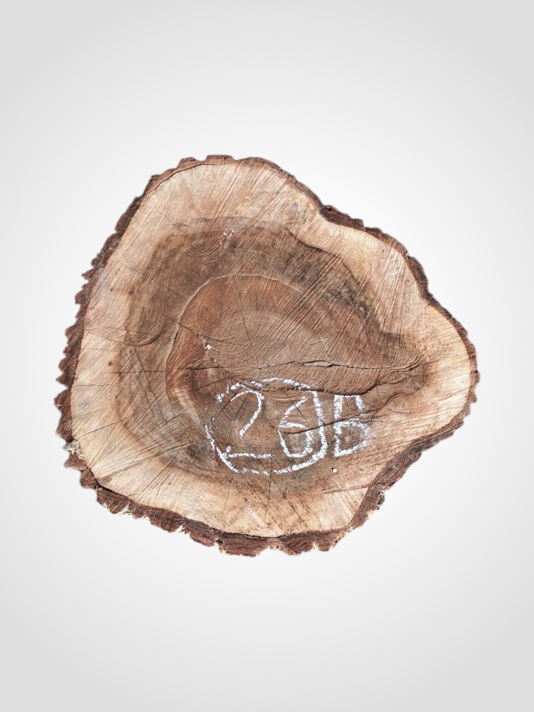 Orech-vlassky-kolac-26b Ořech vlašský koláč - 26