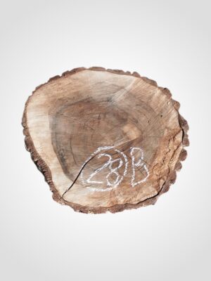 Ořech vlašský koláč - 28