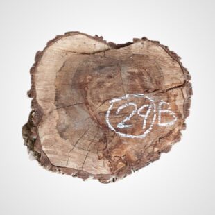 Ořech vlašský koláč - 29