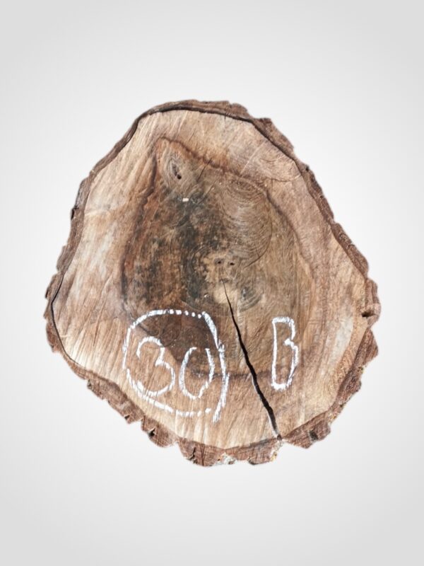 Ořech vlašský koláč - 30