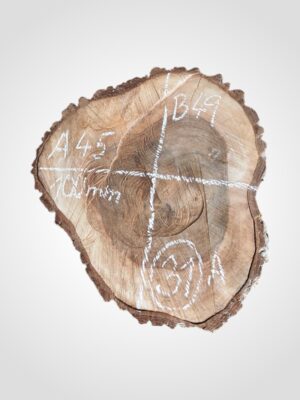 Ořech vlašský koláč - 31