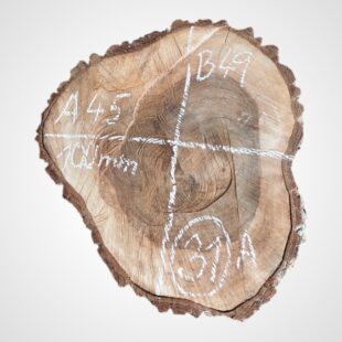 Ořech vlašský koláč - 31