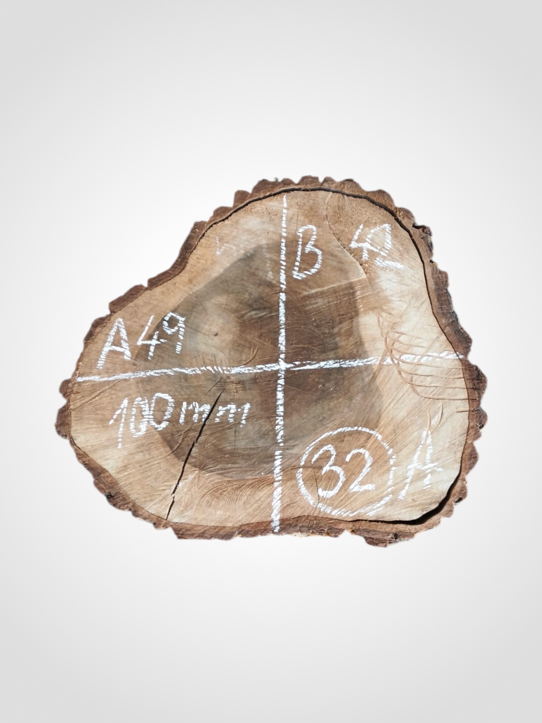 Orech-vlassky-kolac-32a Ořech vlašský koláč - 32